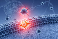 شیرین‌کننده‌ی رایج ممکنه به سد حیاتی مغز آسیب بزنه و خطر سکته رو بالا ببره